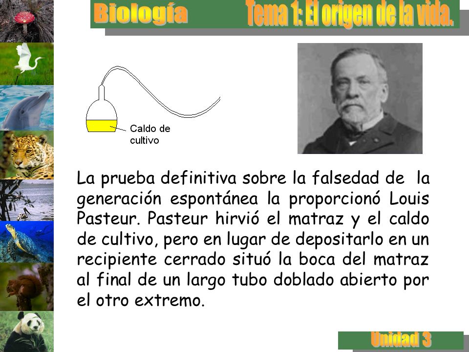 La prueba definitiva sobre la falsedad de la generación espontánea la proporcionó Louis Pasteur.