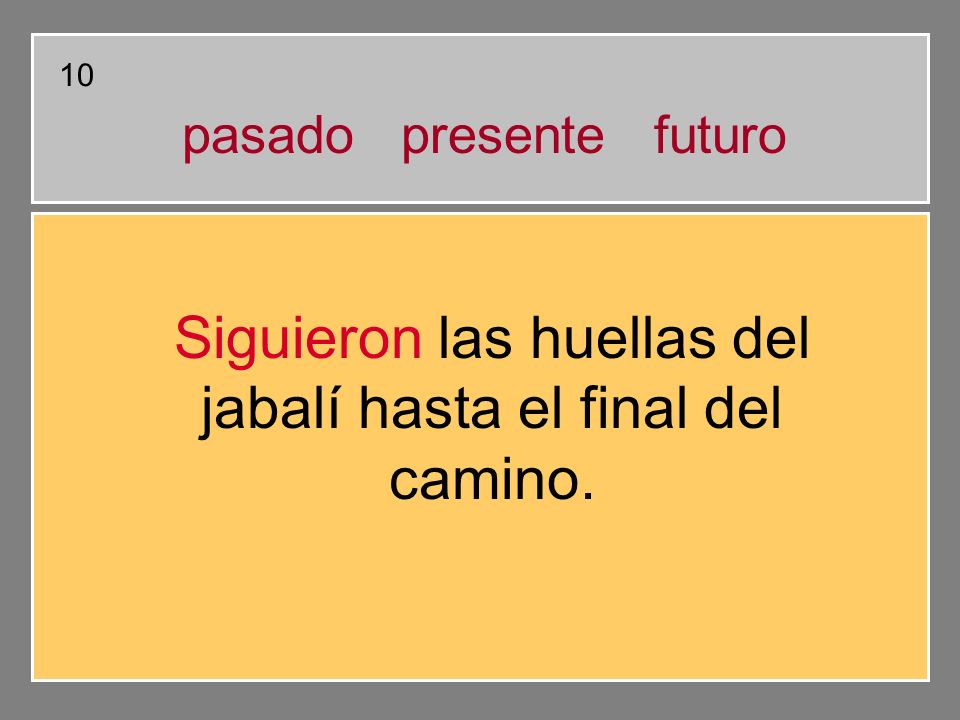 Siguieron las huellas del jabalí hasta el final del camino.