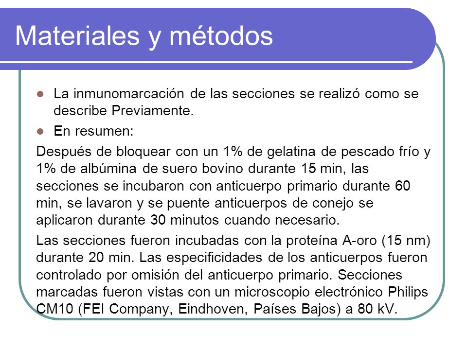 Materiales y métodos La inmunomarcación de las secciones se realizó como se describe Previamente. En resumen:
