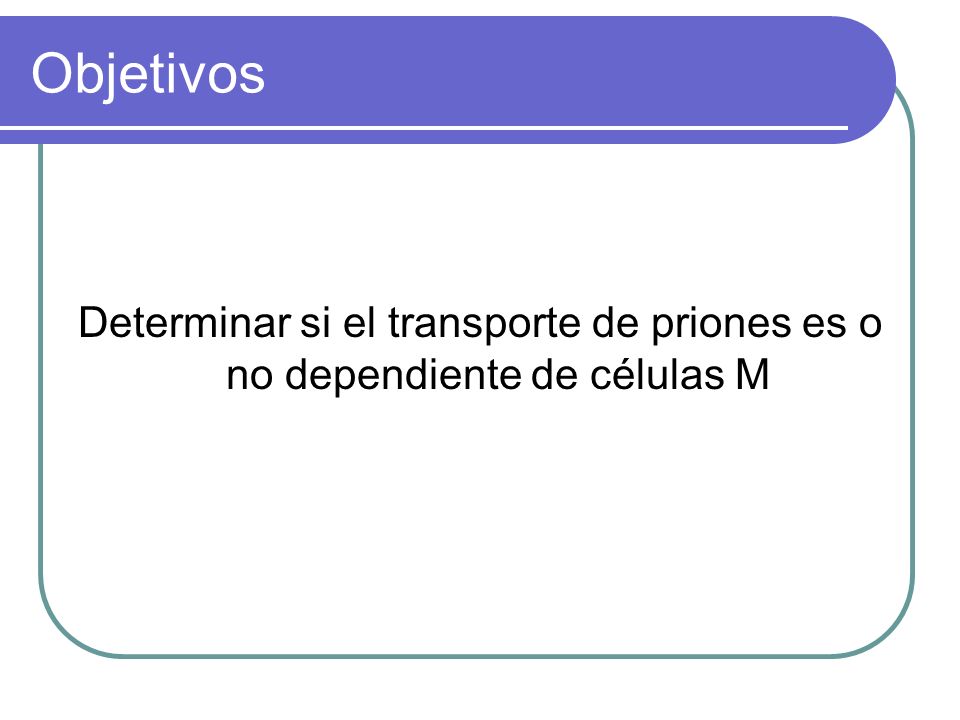 Objetivos Determinar si el transporte de priones es o no dependiente de células M
