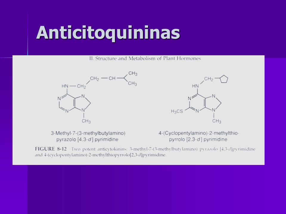 Anticitoquininas Existen compuestos denominados anticitoquininas, al usarse en dosis de 1 micromol inhiben respuesta inducidas por ck.