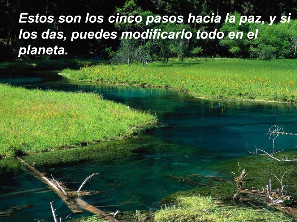 Estos son los cinco pasos hacia la paz, y si los das, puedes modificarlo todo en el planeta.