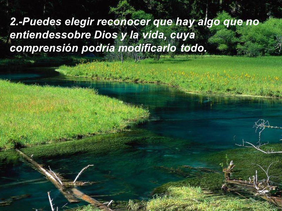 2.-Puedes elegir reconocer que hay algo que no entiendessobre Dios y la vida, cuya comprensión podría modificarlo todo.