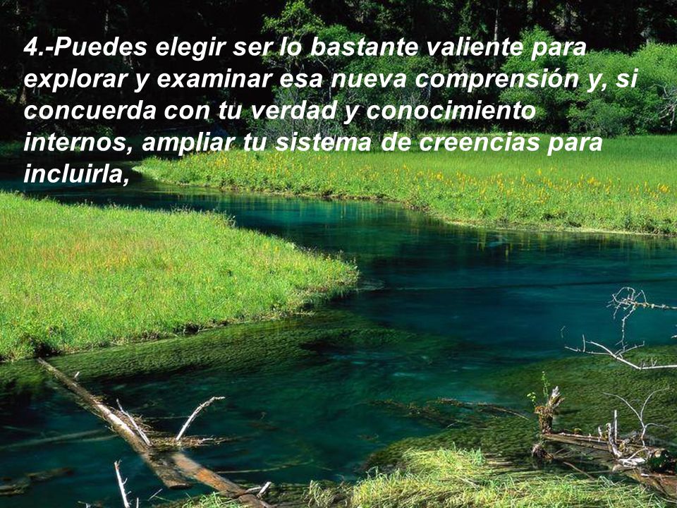 4.-Puedes elegir ser lo bastante valiente para explorar y examinar esa nueva comprensión y, si concuerda con tu verdad y conocimiento internos, ampliar tu sistema de creencias para incluirla,