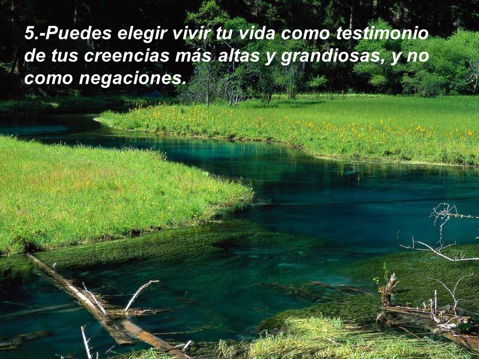 5.-Puedes elegir vivir tu vida como testimonio de tus creencias más altas y grandiosas, y no como negaciones.
