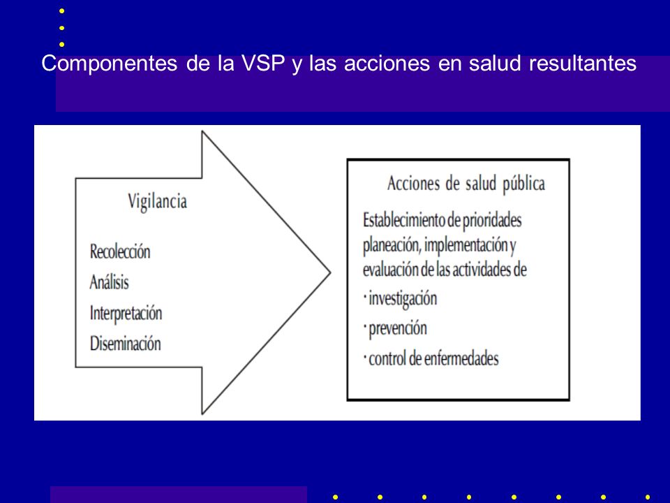 Componentes de la VSP y las acciones en salud resultantes