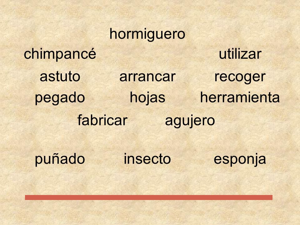 hormiguero chimpancé. utilizar. astuto. arrancar. recoger. pegado. hojas. herramienta. fabricar.