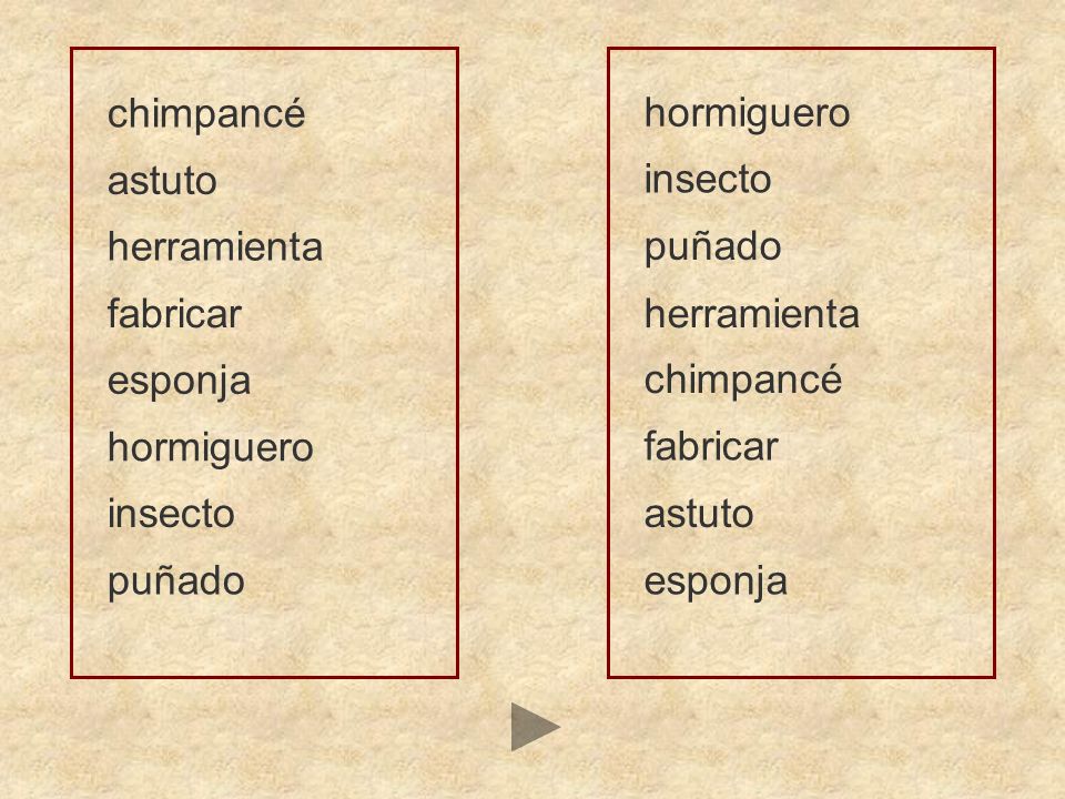 chimpancé hormiguero. astuto. insecto. herramienta. puñado. fabricar. herramienta. esponja. chimpancé.