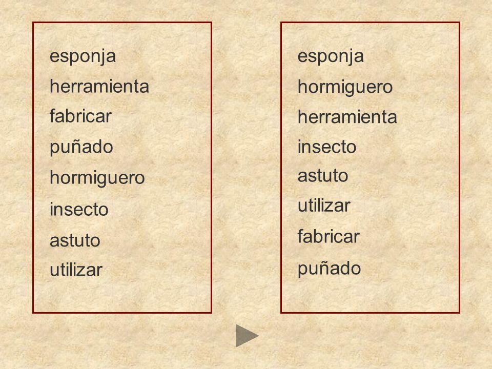 esponja esponja. herramienta. hormiguero. fabricar. herramienta. puñado. insecto. hormiguero.