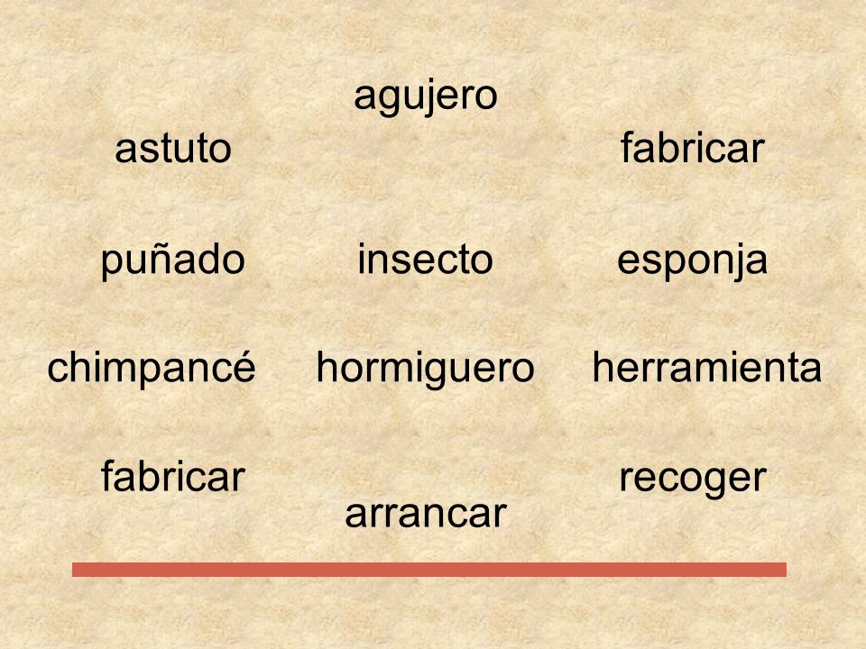 agujero astuto. fabricar. puñado. insecto. esponja. chimpancé. hormiguero. herramienta. fabricar.