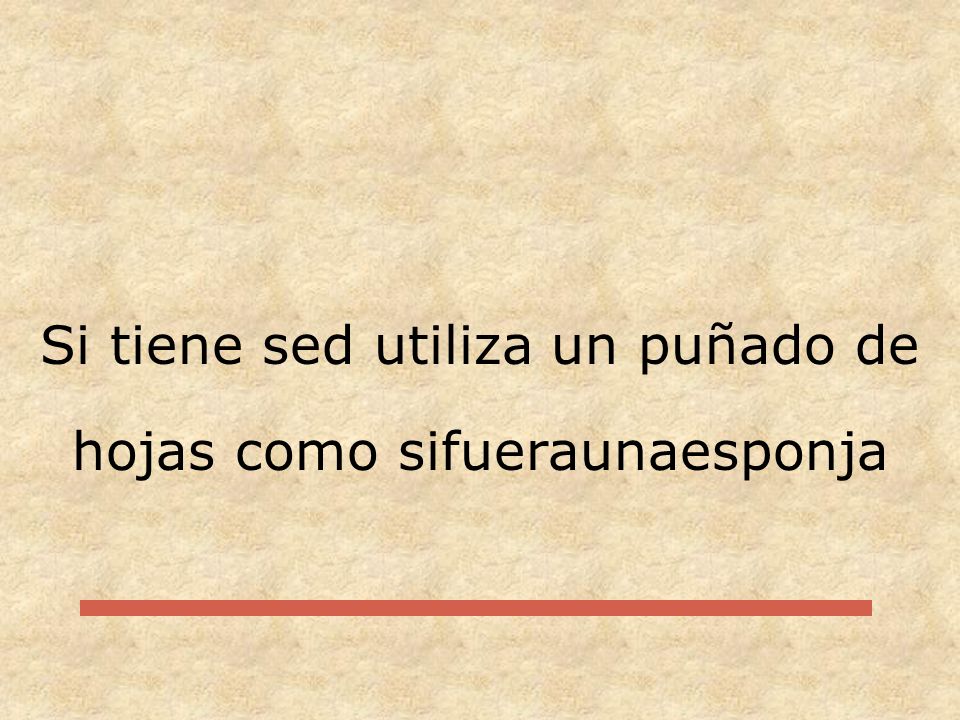 Si tiene sed utiliza un puñado de hojas como sifueraunaesponja