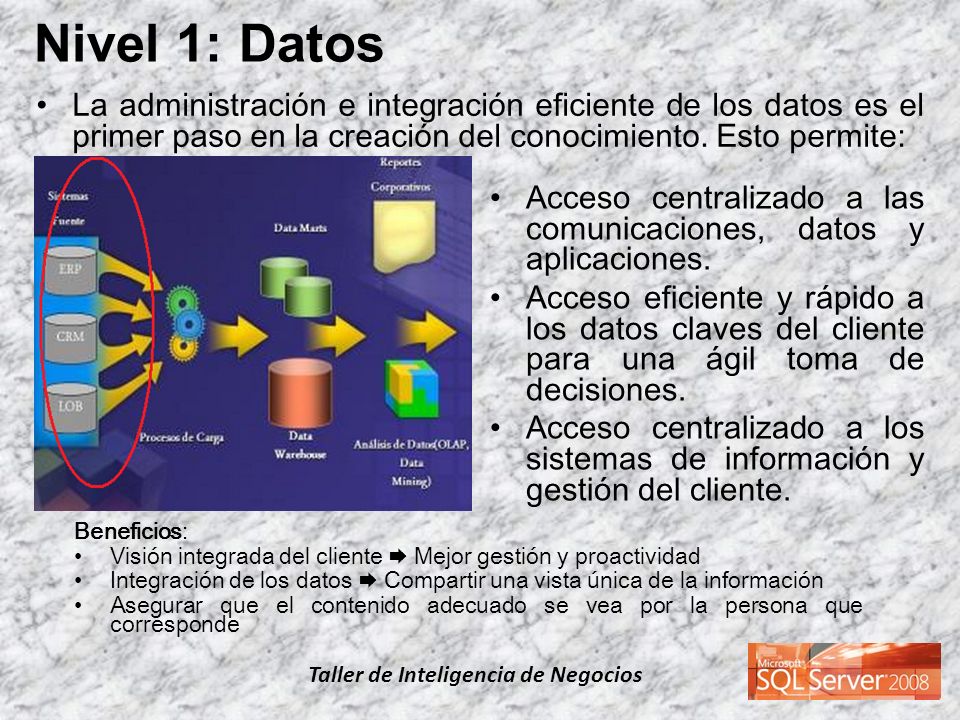 Nivel 1: Datos La administración e integración eficiente de los datos es el primer paso en la creación del conocimiento. Esto permite: