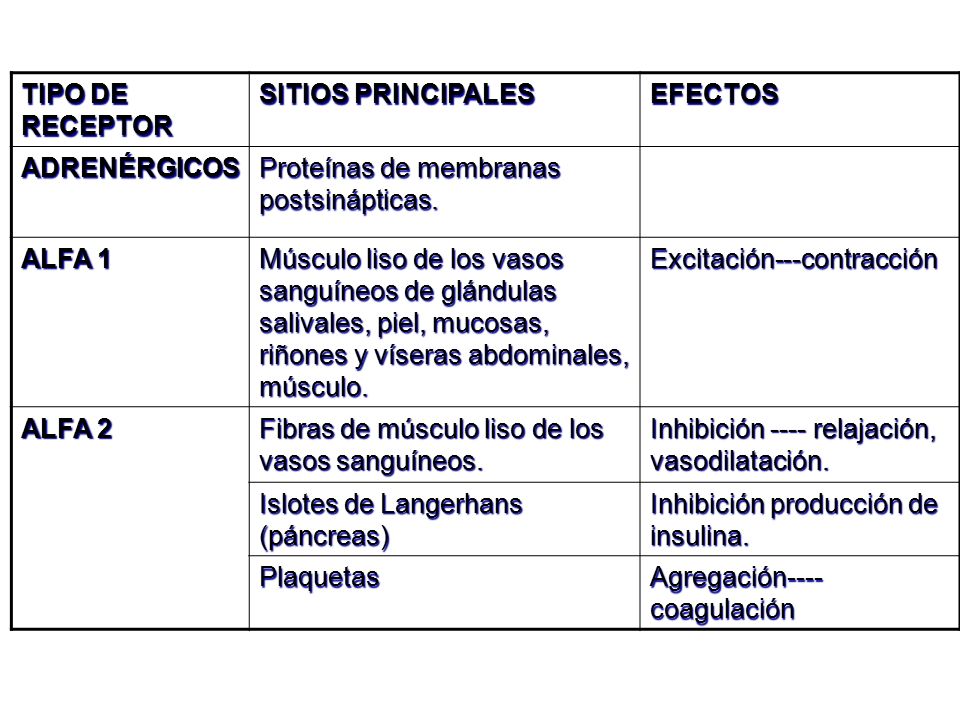 TIPO DE RECEPTOR SITIOS PRINCIPALES. EFECTOS. ADRENÉRGICOS. Proteínas de membranas postsinápticas.