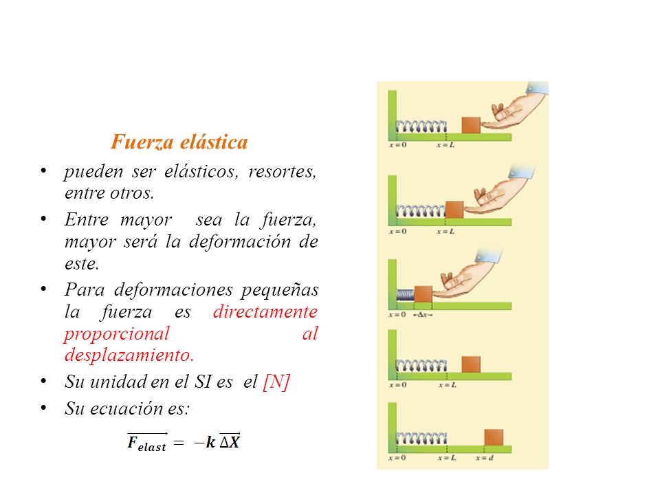 Fuerza elástica pueden ser elásticos, resortes, entre otros.