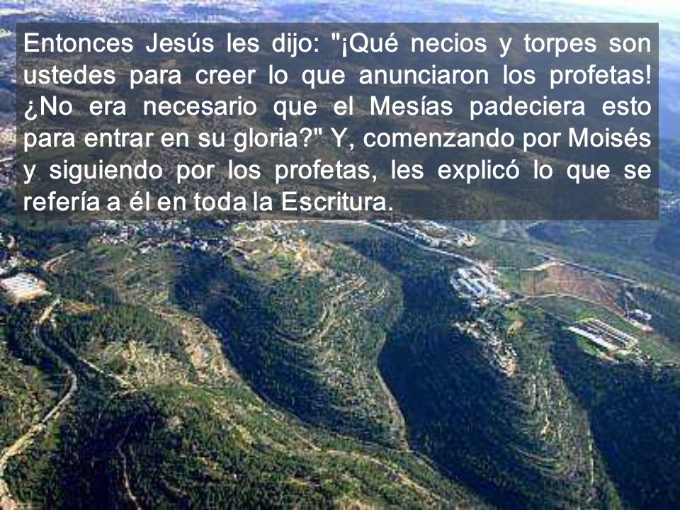 Entonces Jesús les dijo: ¡Qué necios y torpes son ustedes para creer lo que anunciaron los profetas.