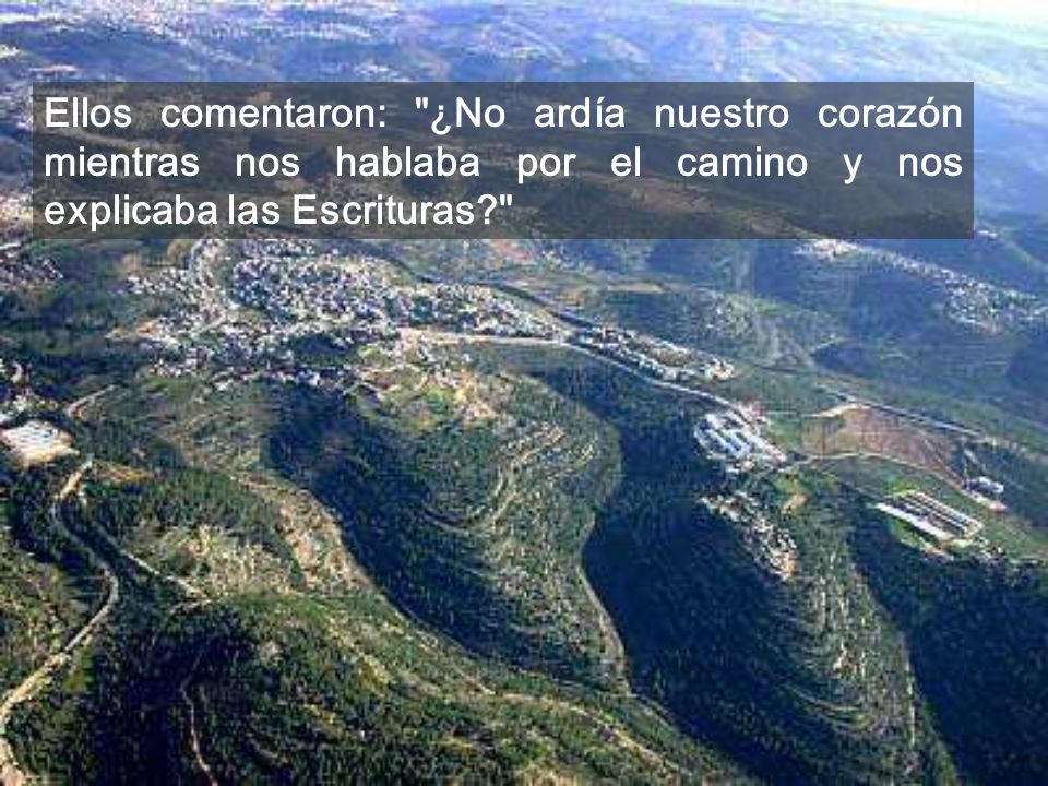 Ellos comentaron: ¿No ardía nuestro corazón mientras nos hablaba por el camino y nos explicaba las Escrituras