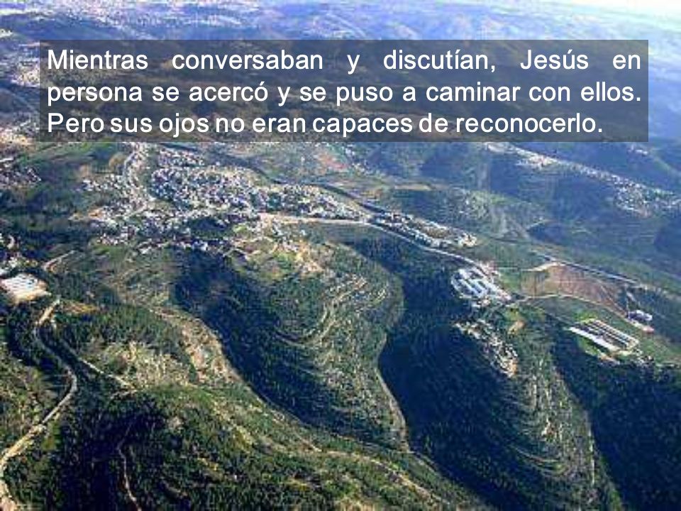 Mientras conversaban y discutían, Jesús en persona se acercó y se puso a caminar con ellos.
