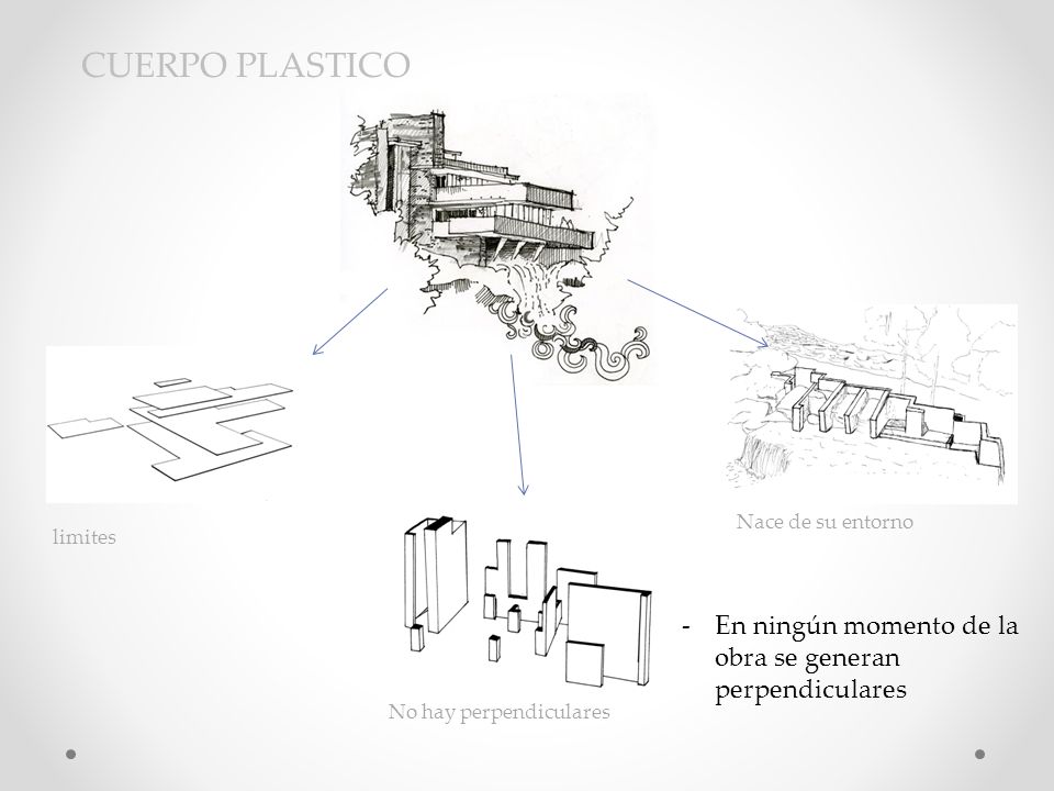 CUERPO PLASTICO Nace de su entorno. limites. En ningún momento de la obra se generan perpendiculares.