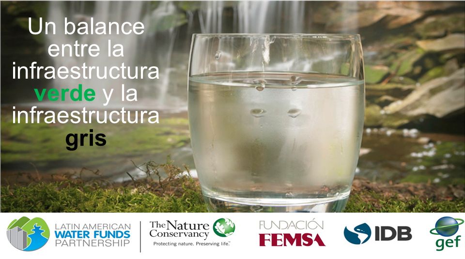 Un balance entre la infraestructura verde y la infraestructura gris