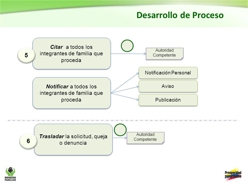 Desarrollo de Proceso Citar a todos los integrantes de familia que proceda. 5. Autoridad Competente.