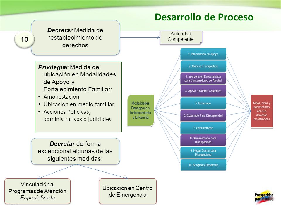 Desarrollo de Proceso Decretar Medida de restablecimiento de derechos. 10. Autoridad Competente.