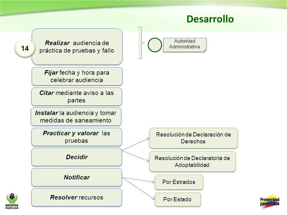 Desarrollo 14 Realizar audiencia de práctica de pruebas y fallo