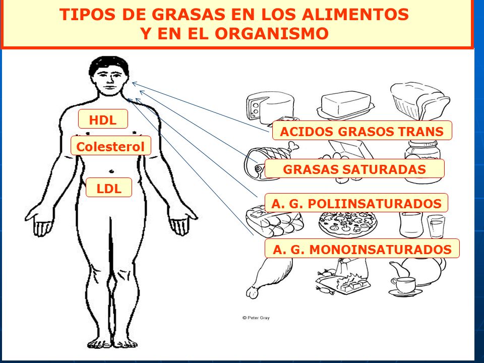 TIPOS DE GRASAS EN LOS ALIMENTOS