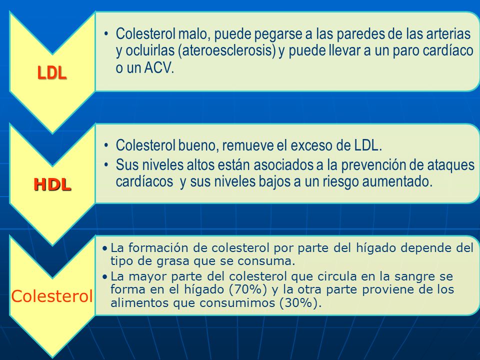 LDL Colesterol malo, puede pegarse a las paredes de las arterias y ocluirlas (ateroesclerosis) y puede llevar a un paro cardíaco o un ACV.