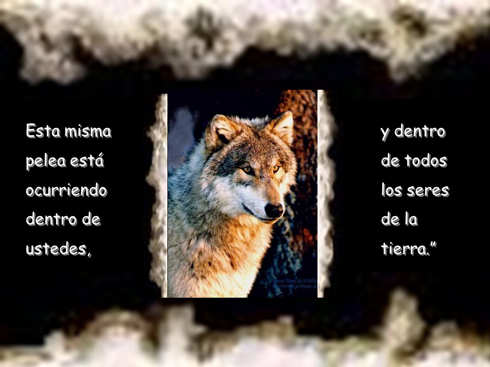 Esta misma pelea está ocurriendo dentro de ustedes, y dentro de todos los seres de la tierra.
