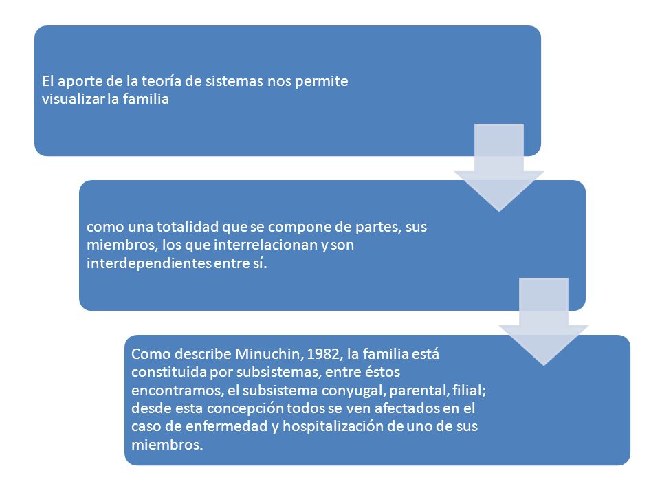 El aporte de la teoría de sistemas nos permite visualizar la familia