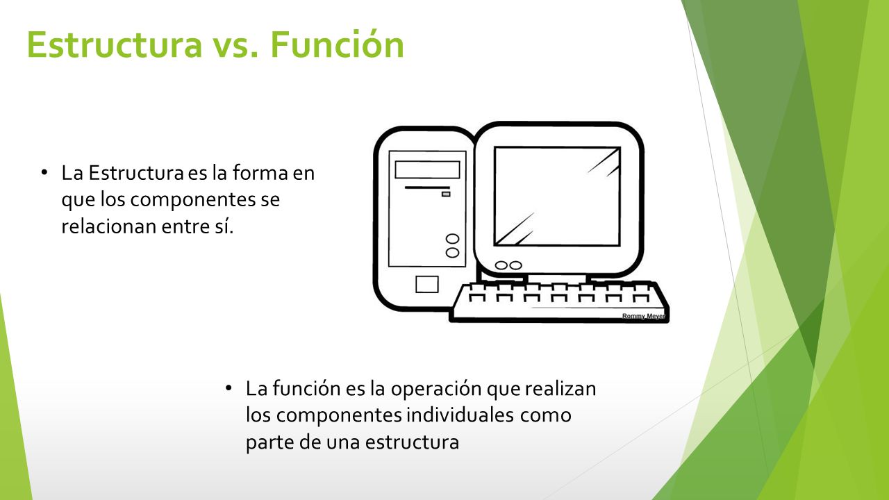 Estructura vs. Función La Estructura es la forma en que los componentes se relacionan entre sí.