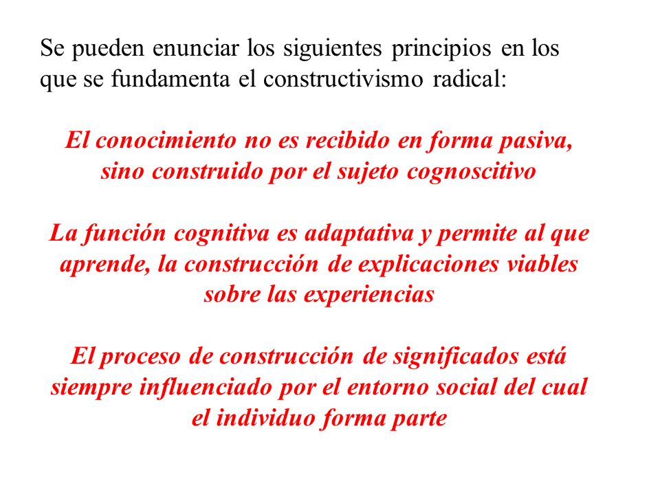Se pueden enunciar los siguientes principios en los que se fundamenta el constructivismo radical: