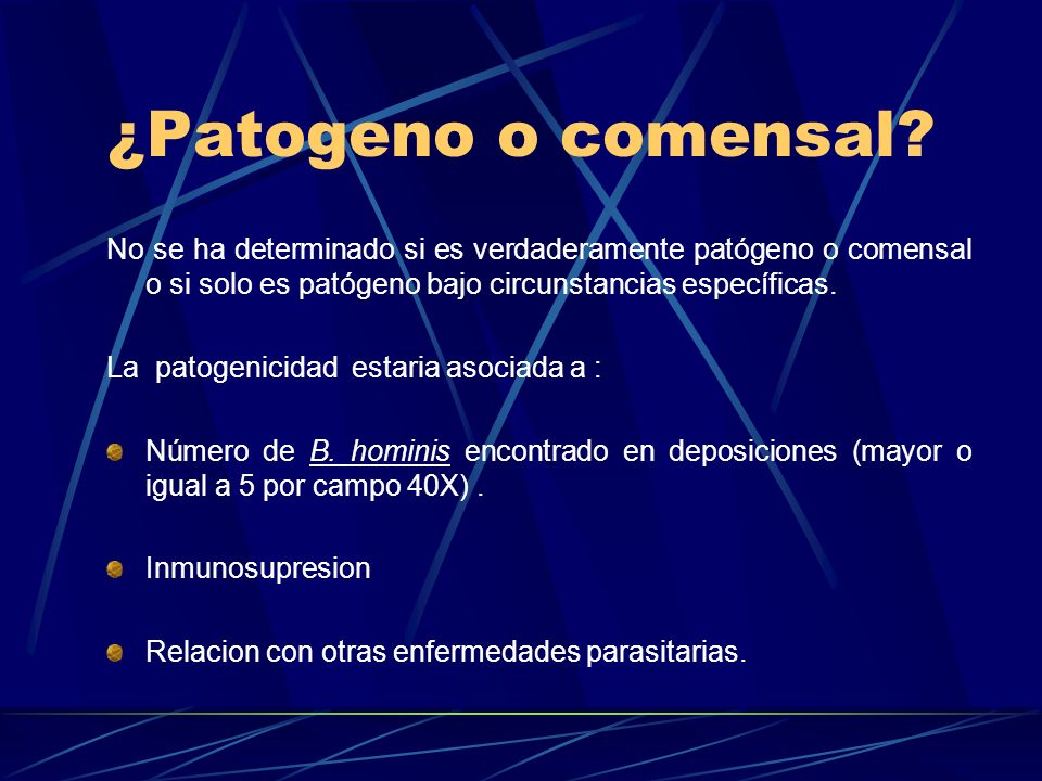 ¿Patogeno o comensal No se ha determinado si es verdaderamente patógeno o comensal o si solo es patógeno bajo circunstancias específicas.