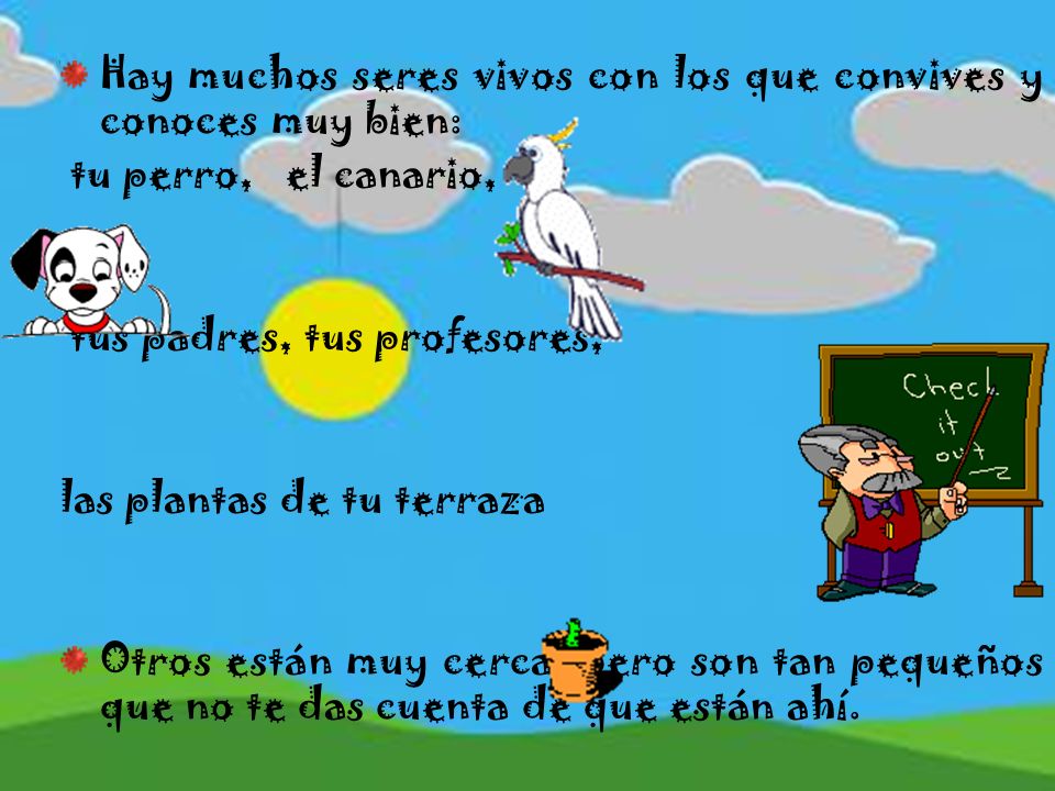 Hay muchos seres vivos con los que convives y conoces muy bien: