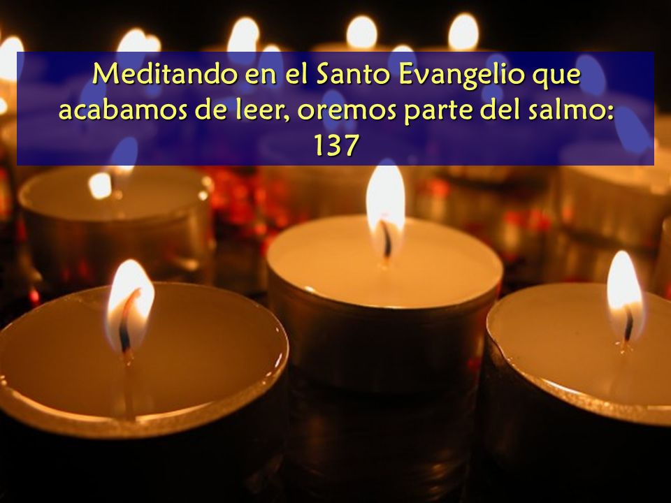 Meditando en el Santo Evangelio que acabamos de leer, oremos parte del salmo: