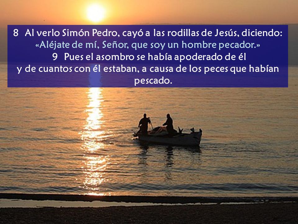 8 Al verlo Simón Pedro, cayó a las rodillas de Jesús, diciendo: