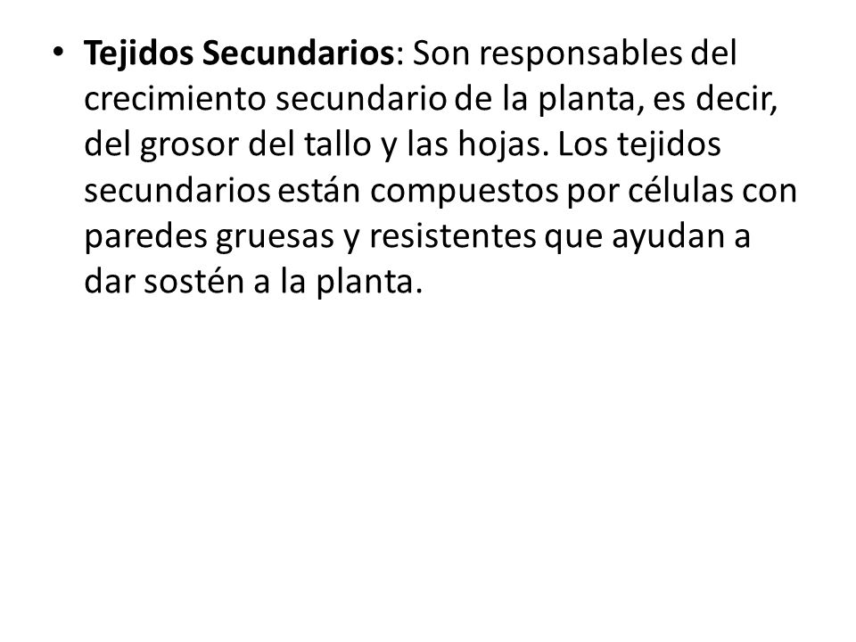 Tejidos Secundarios: Son responsables del crecimiento secundario de la planta, es decir, del grosor del tallo y las hojas.