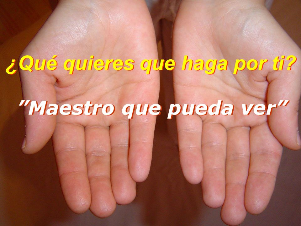 ¿Qué quieres que haga por ti Maestro que pueda ver