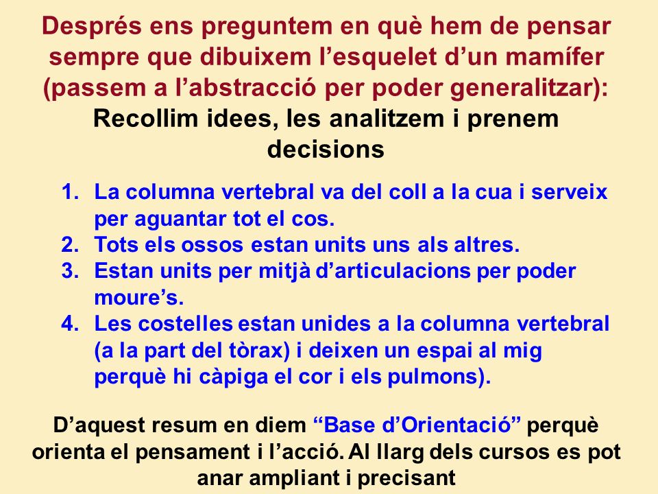 Després ens preguntem en què hem de pensar sempre que dibuixem l’esquelet d’un mamífer (passem a l’abstracció per poder generalitzar): Recollim idees, les analitzem i prenem decisions