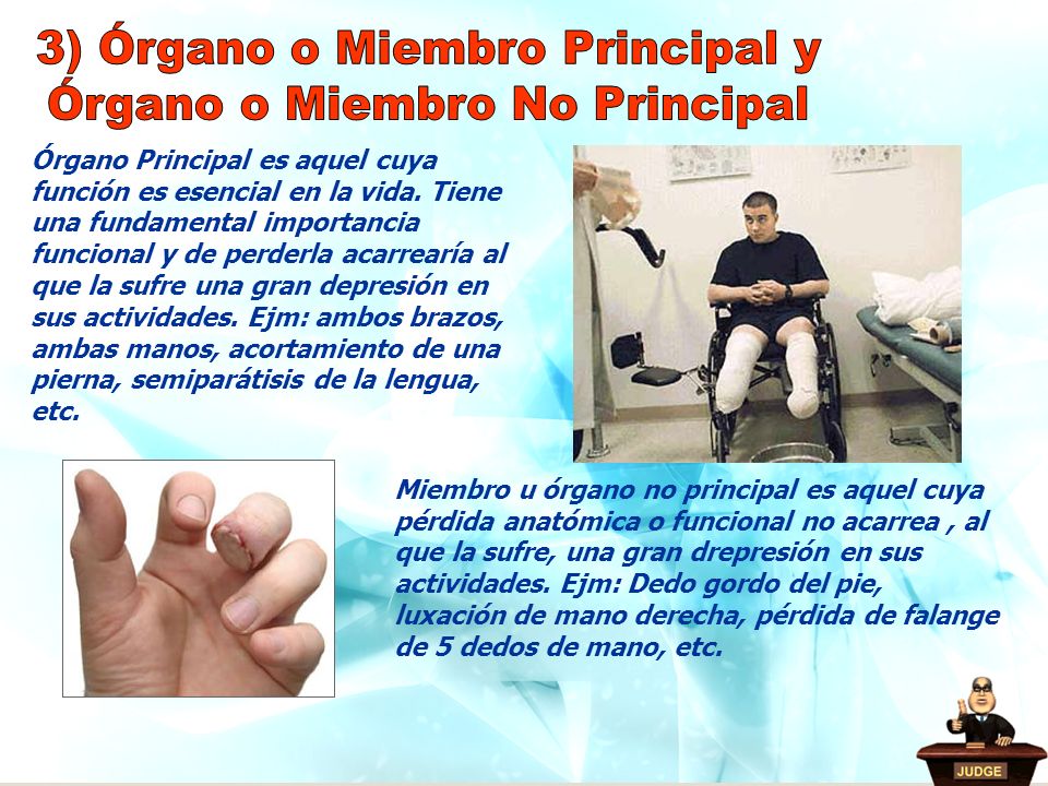 3) Órgano o Miembro Principal y Órgano o Miembro No Principal