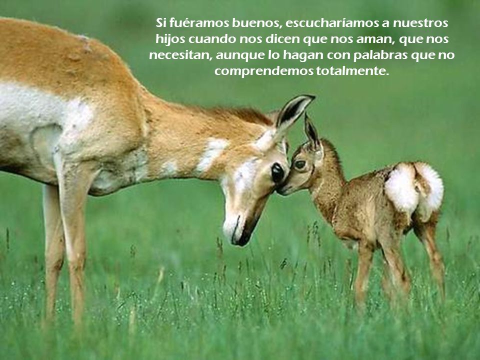 Si fuéramos buenos, escucharíamos a nuestros hijos cuando nos dicen que nos aman, que nos necesitan, aunque lo hagan con palabras que no comprendemos totalmente.