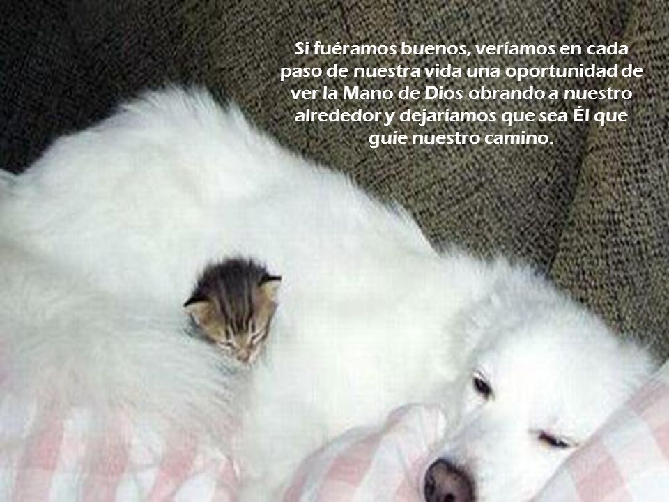 Si fuéramos buenos, veríamos en cada paso de nuestra vida una oportunidad de ver la Mano de Dios obrando a nuestro alrededor y dejaríamos que sea Él que guíe nuestro camino.