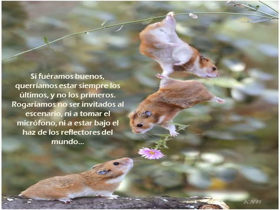 Si fuéramos buenos, querríamos estar siempre los últimos, y no los primeros.