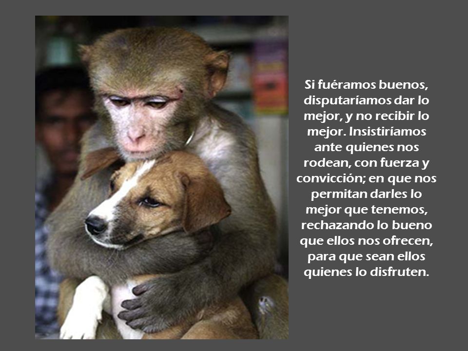 Si fuéramos buenos, disputaríamos dar lo mejor, y no recibir lo mejor