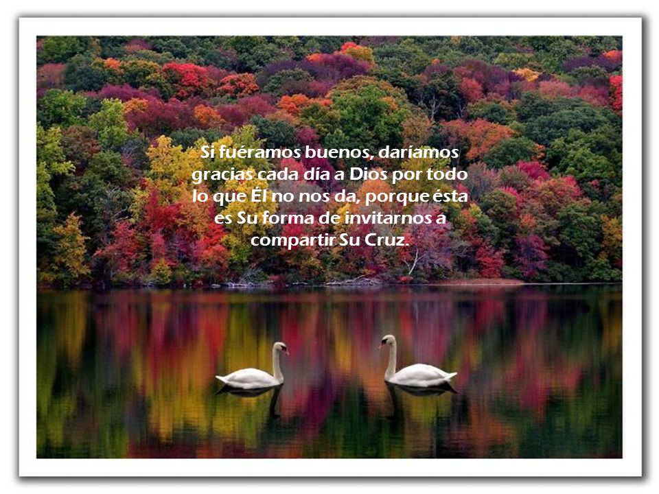 Si fuéramos buenos, daríamos gracias cada día a Dios por todo lo que Él no nos da, porque ésta es Su forma de invitarnos a compartir Su Cruz.