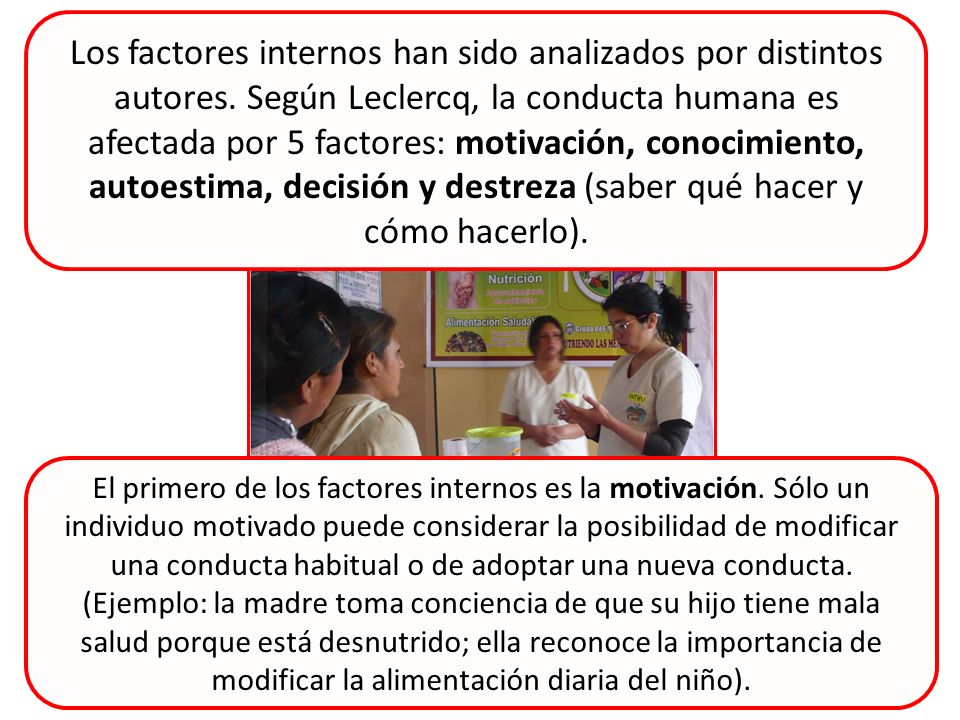 Los factores internos han sido analizados por distintos autores