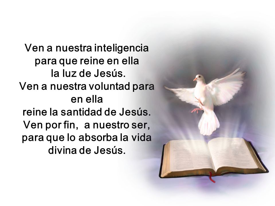 Ven a nuestra inteligencia para que reine en ella la luz de Jesús.