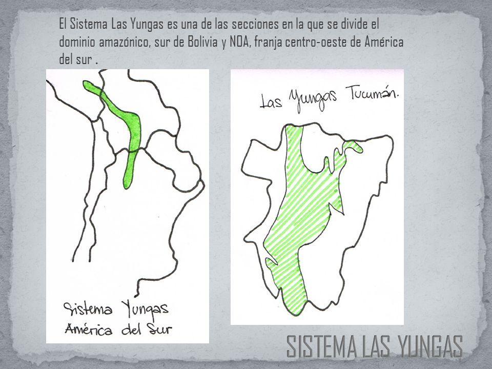 El Sistema Las Yungas es una de las secciones en la que se divide el dominio amazónico, sur de Bolivia y NOA, franja centro-oeste de América del sur .