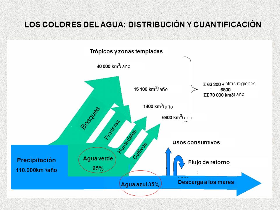 LOS COLORES DEL AGUA: DISTRIBUCIÓN Y CUANTIFICACIÓN