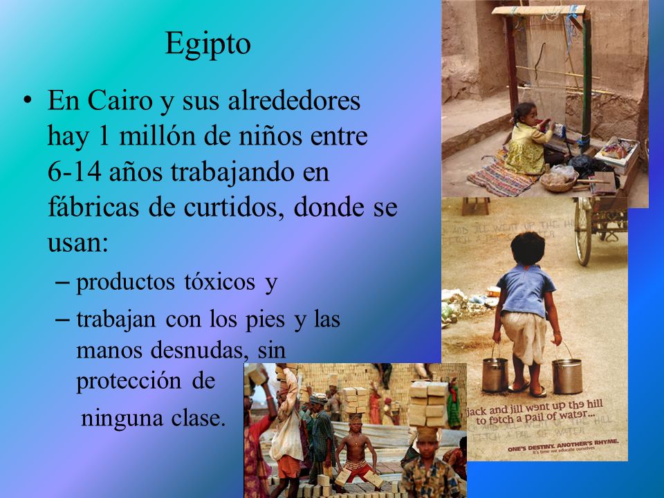 Egipto En Cairo y sus alrededores hay 1 millón de niños entre 6-14 años trabajando en fábricas de curtidos, donde se usan: